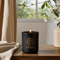 Nº11 Cedar & Pine — Signature Candle
