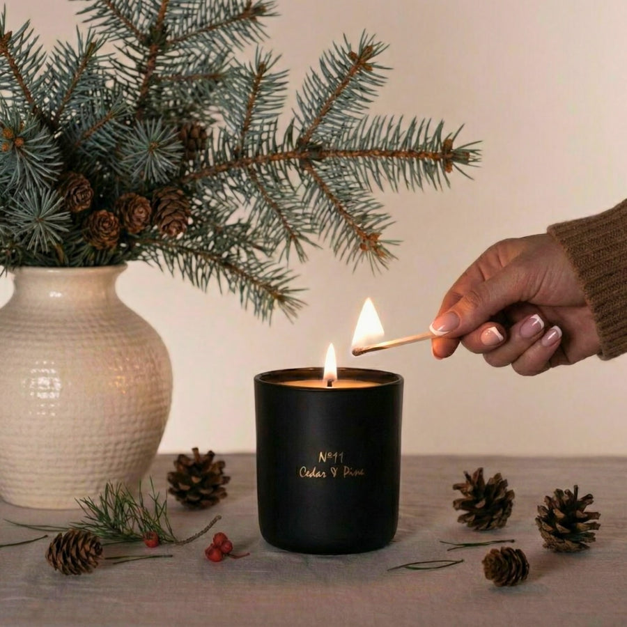 Cedar & Pine